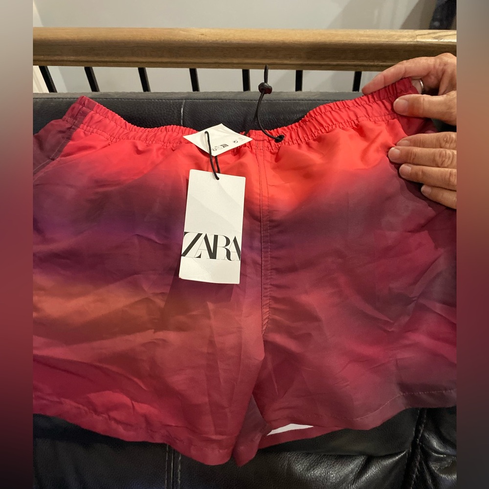 Brand new men's bathing suit ZARA TAGS STILL ON NEVER WORN
